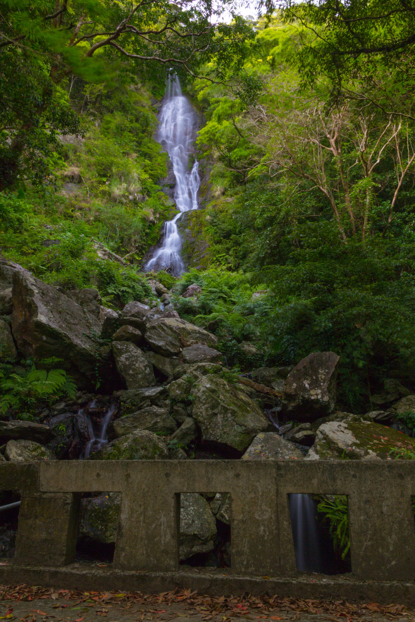 フナンギョの滝 Les Bleu AMAMI（レブルーアマミ）